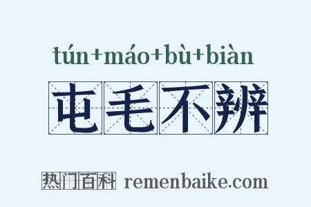 屯毛不辨是什么意思的图片